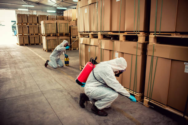 Wasp Removal Services in Susanville, CA