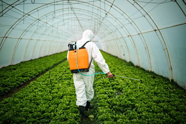 Best Residential Pest Control  in Susanville, CA