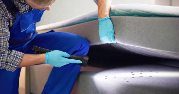 Best Best Pest Control Companies  in Susanville, CA