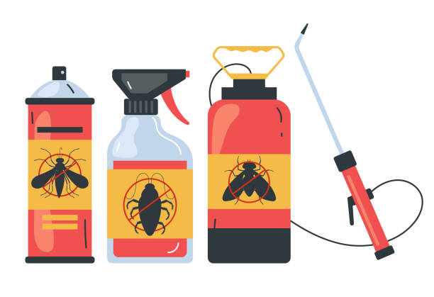 Best Spider Control Near Me  in Susanville, CA