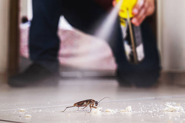 Best Residential Pest Control  in Susanville, CA