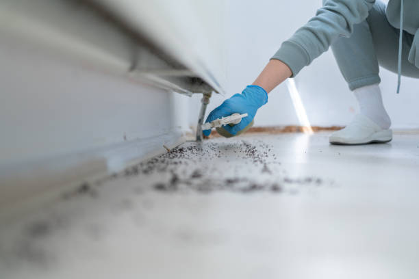 Best Commercial Pest Control Services  in Susanville, CA