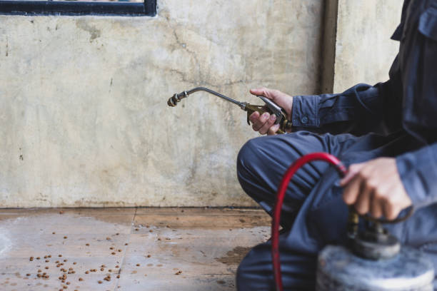 Best Ant Control Services  in Susanville, CA
